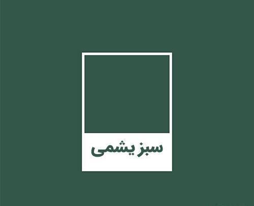 عکس شلوار یشمی