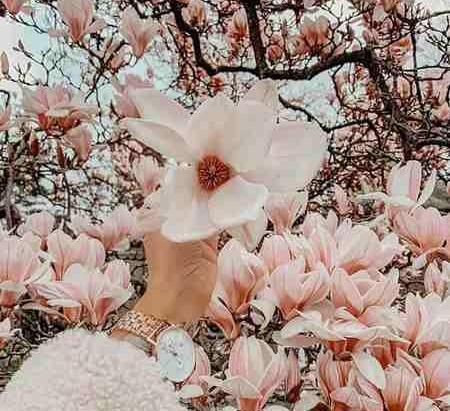عکس های جدید بهار رهنما