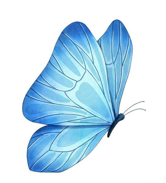 عکس لایه باز پروانه