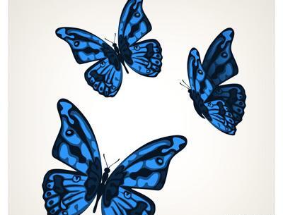 عکس لایه باز پروانه