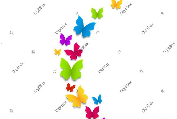 عکس لایه باز پروانه