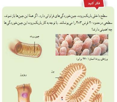 عکس صفحه علوم