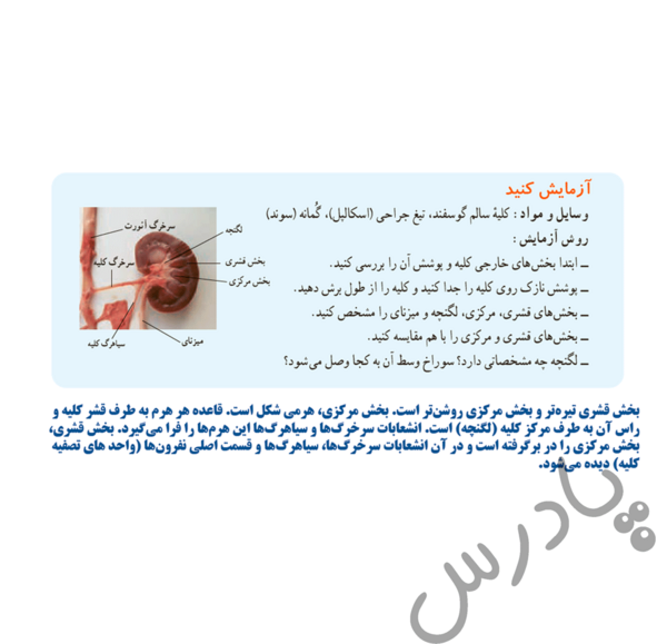 عکس صفحه علوم