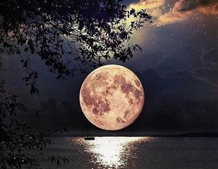 عکس سبینه جلال زاده