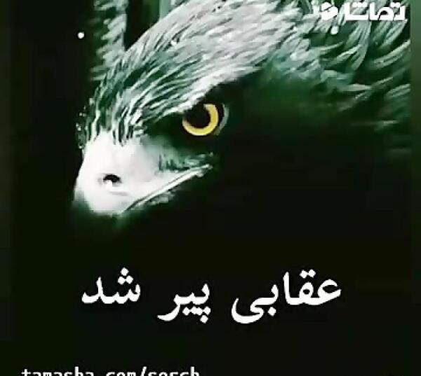 عکس دوست دارم یگانه