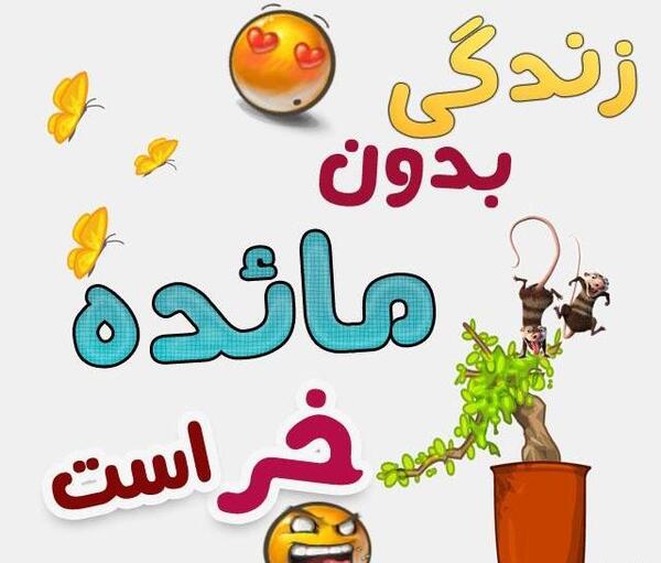 عکس نوشته های مائده