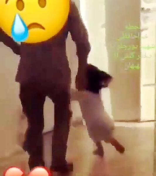 عکس حضرت ابوالفضل در فیلم رستاخیز