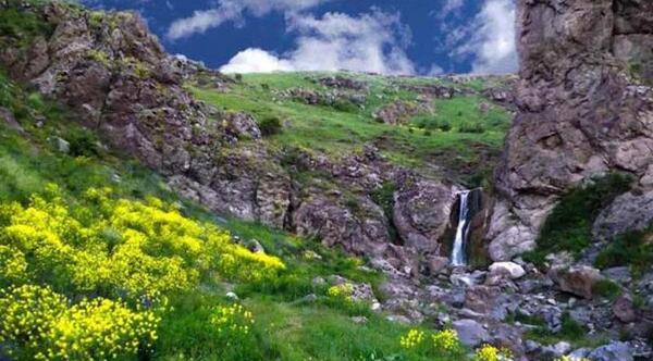 عکس قره ضیاالدین
