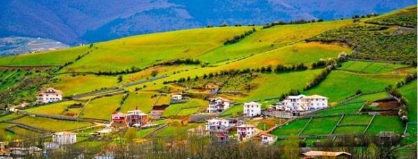 عکس جاده چالوس در بهار