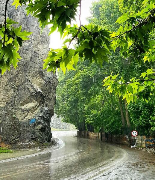 عکس جاده چالوس در بهار