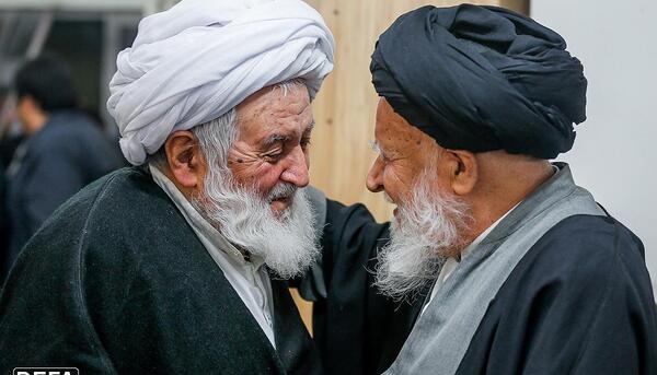 عکس سید محسن ذوالفقاری