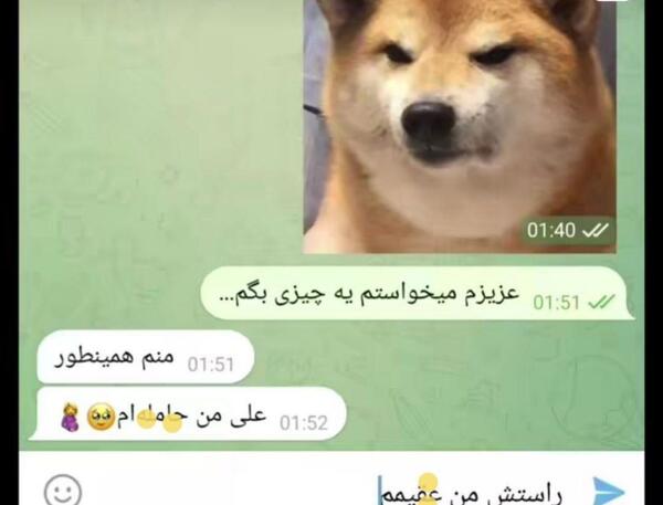 عکس دارک ویسگون