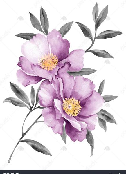 عکس گل ساده