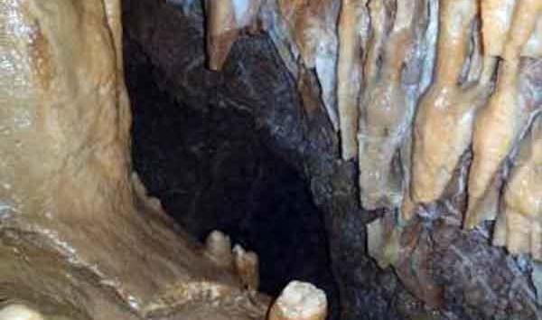 عکس شاه قنداب