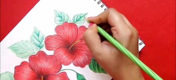 عکس نقاشی دخترانه سیاه و سفید