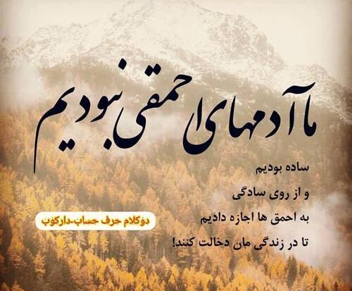 عکس نوشته با نادان بحث نکن
