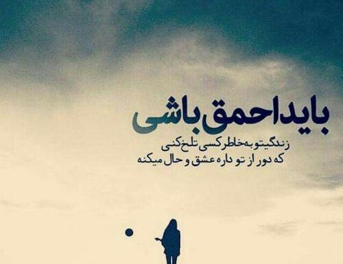 عکس نوشته با نادان بحث نکن