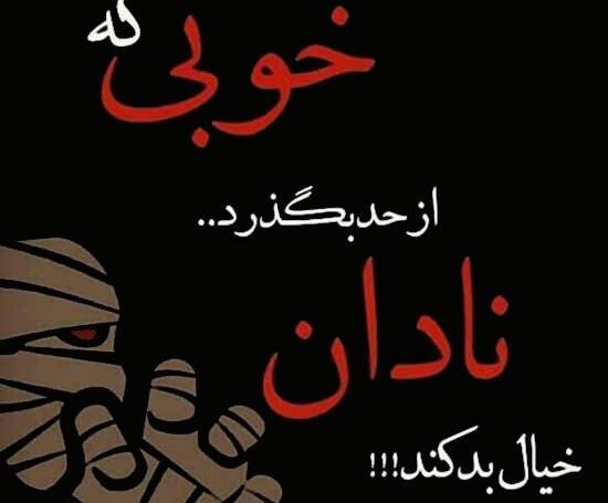عکس نوشته با نادان بحث نکن