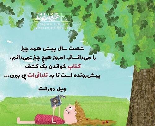 عکس نوشته با نادان بحث نکن