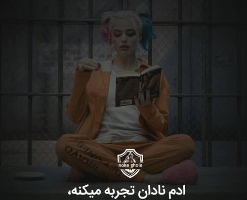 عکس نوشته با نادان بحث نکن