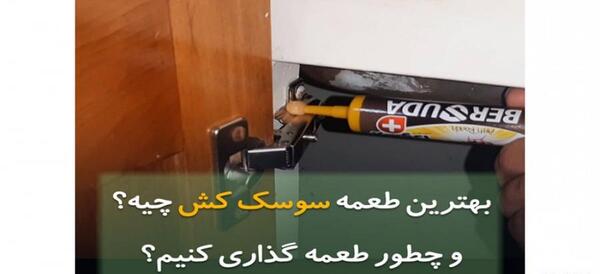عکس طعمه سوسک