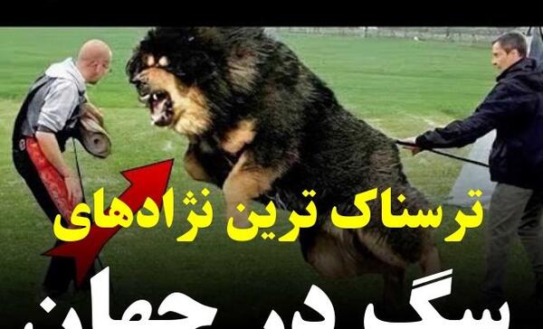 عکس سگ وحشی ادم خوار