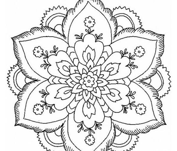 عکس تصویر جغد غمگین