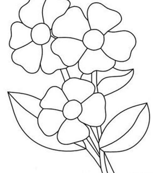 عکس گل طراحی