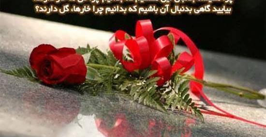 عکس تصاویر گلهای زیبا عاشقانه