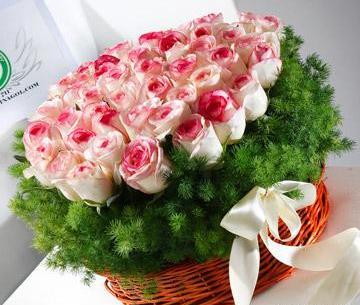 عکس تصاویر گلهای زیبا عاشقانه
