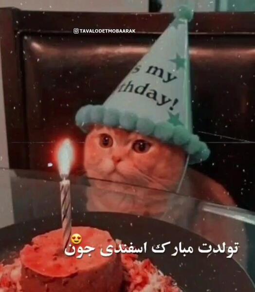 عکس تولدت مبارک اسفندی