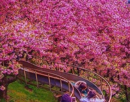 عکس پروفایل خاص طبیعت