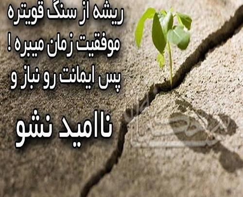 عکس نوشته من وکیل میشم