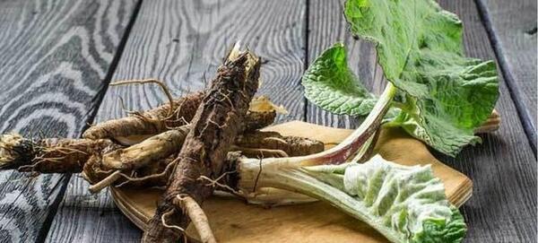 عکس بابای هانده