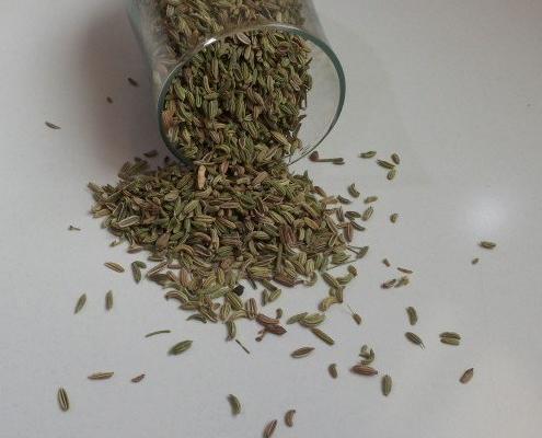عکس رازیانه تازه