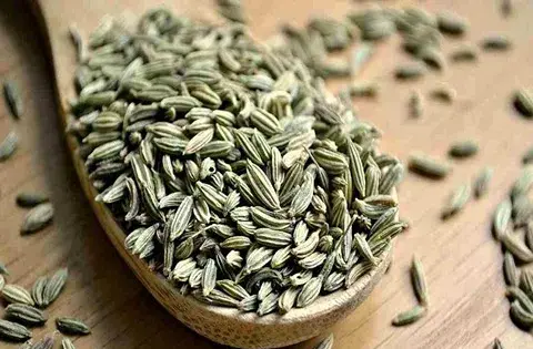 عکس رازیانه تازه