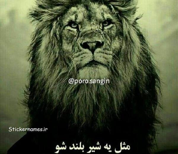 عکس نوشته گرگ قشنگ