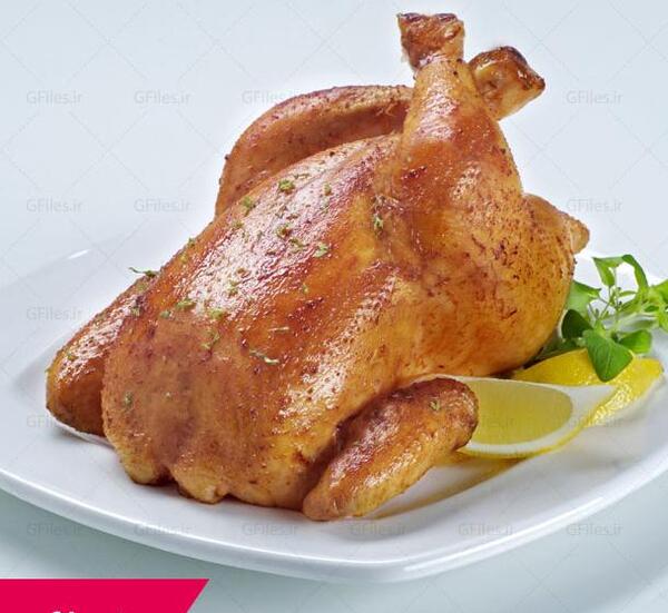 عکس غذا مرغ