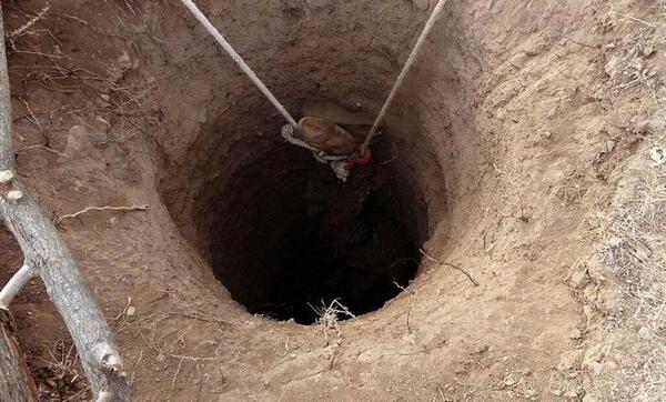 عکس نگرفتن هادی چوپان با بچه