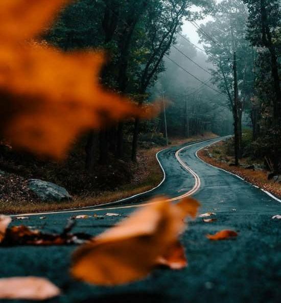 عکس در مورد پاییز برای پروفایل