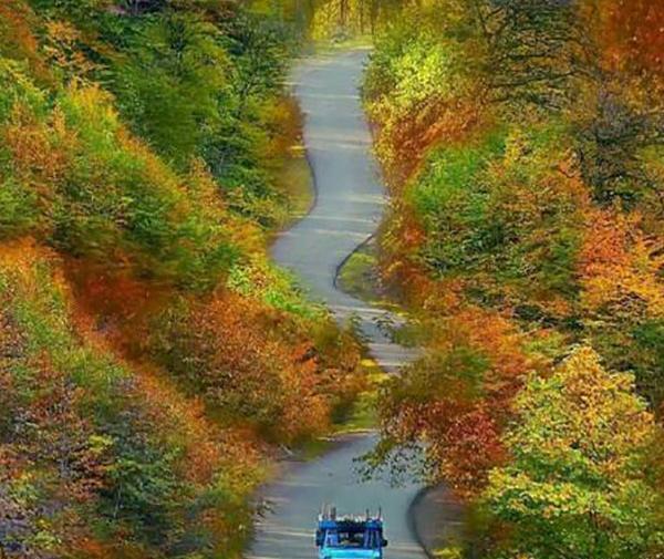 عکس از طبیعت پاییزی ایران