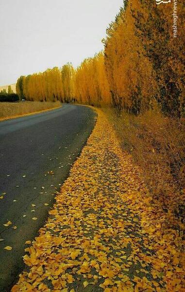 عکس از طبیعت پاییزی ایران