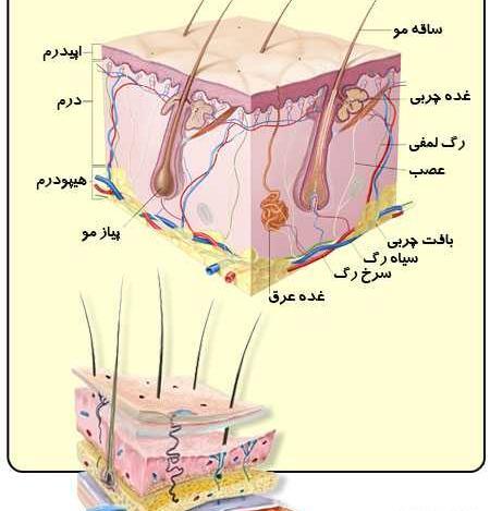 عکس ساختمان پوست