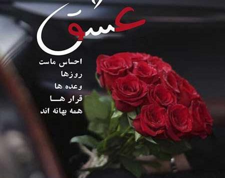 عکس قران با گل رز