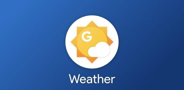 عکس اسفناج ملوان زبل