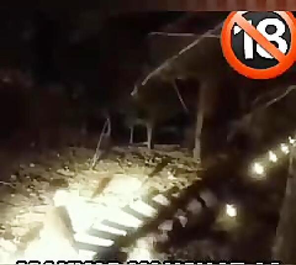 عکس جن در خانه دنیا جهانبخت