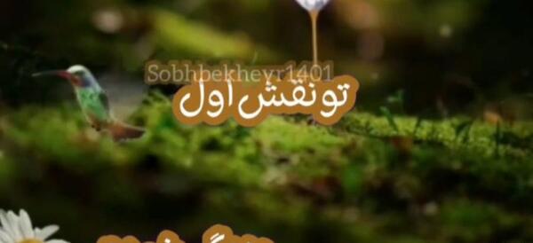 عکس نوشته تو قوی هستی