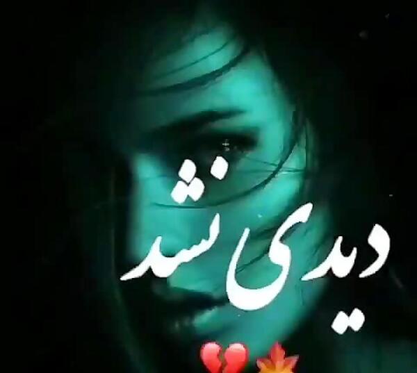 عکس نوشته شقایق اینجا من خیلی غریبم