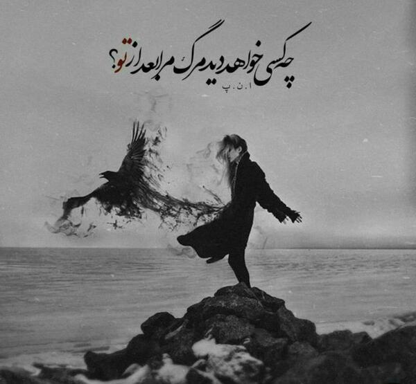 عکس نوشته شقایق اینجا من خیلی غریبم