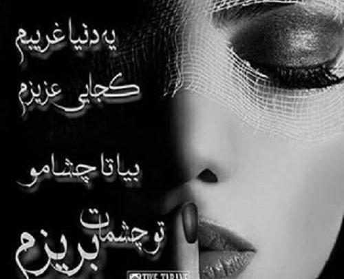 عکس نوشته شقایق اینجا من خیلی غریبم